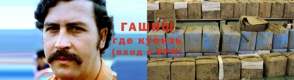 apvp Алзамай