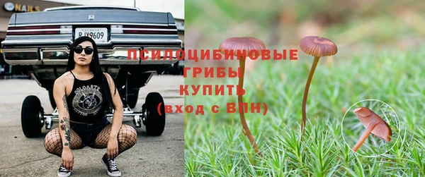 apvp Алзамай