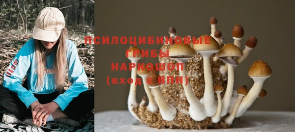 apvp Алзамай