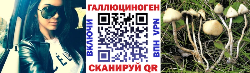 Псилоцибиновые грибы Magic Shrooms Бикин